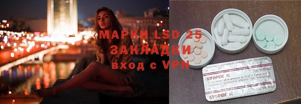 твердый Богданович