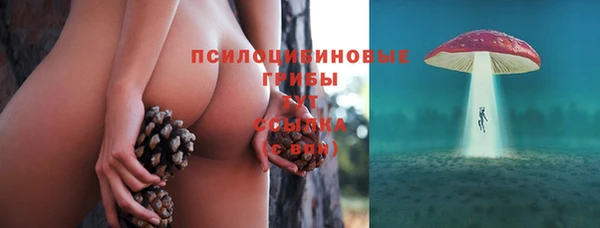 твердый Богданович