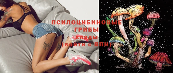 jwh Богородск