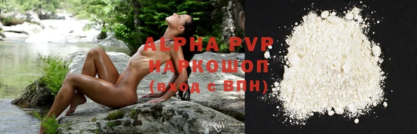 твердый Богданович