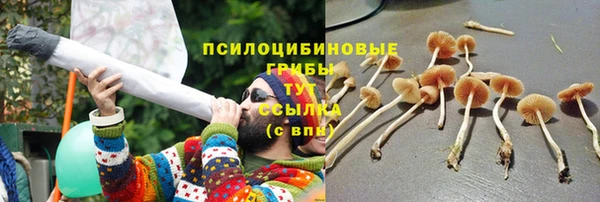 мефедрон Богородицк