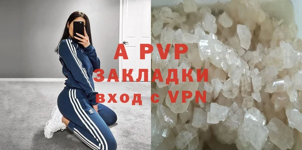 твердый Богданович