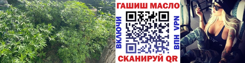 Дистиллят ТГК гашишное масло  Пионерский 