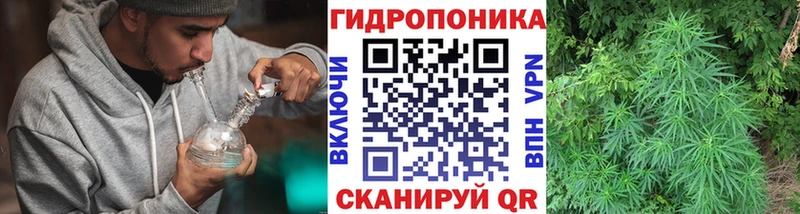 Конопля тримм  наркошоп  Пионерский 